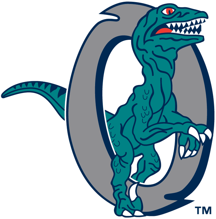 Ogden Raptors 1994-1999 Cap Logo iron on heat transfer